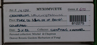 Image Associated With the Occurence
